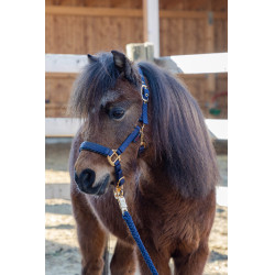 Cabresto para potro TopLine Covalliero Azul-marinho Cabresto para potro TopLine Covalliero Azul-marinho