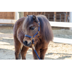 Cabresto para potro TopLine Covalliero Azul-marinho Cabresto para potro TopLine Covalliero Azul-marinho