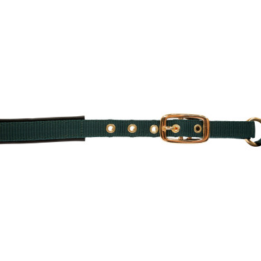 Cabresto para potro TopLine Covalliero Verde floresta Cabresto para potro TopLine Covalliero Verde floresta