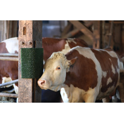 Placa de raspagem e limpeza KratzPad Kerbl Placa de raspagem e limpeza KratzPad Kerbl