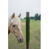 Placa de raspagem e limpeza KratzPad Kerbl Verde Placa de raspagem e limpeza KratzPad Kerbl Verde