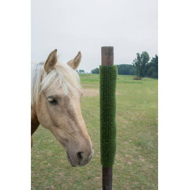 Placa de raspagem e limpeza KratzPad Kerbl Verde