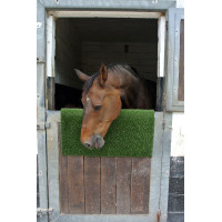 Placa de raspagem e limpeza KratzPad Kerbl Verde