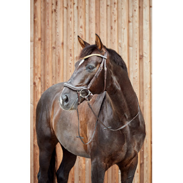 Cabeçada anatômica Horze Highbury testadeira com strass Castanho escuro