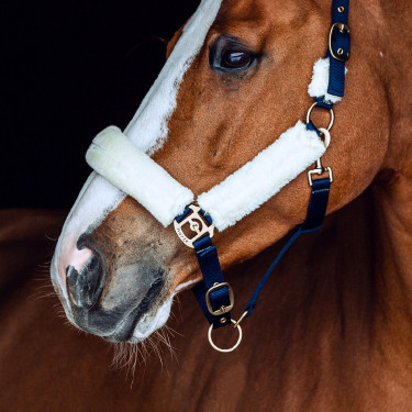 Cabresto com lã Horze Lincoln Vestido azul / branco quebrado Cabresto com lã Horze Lincoln Vestido azul / branco quebrado