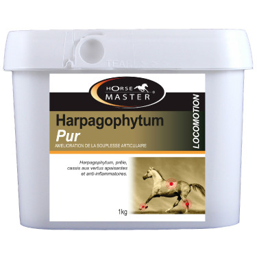 Harpagophytum pur semoulette Horse Master Harpagophytum pur semoulette Horse Master