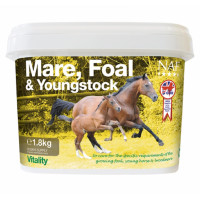 Éguas, potros e cavalos...