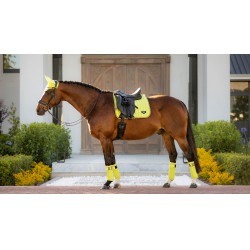 Tapete LeMieux Loire Classic Dressage Square Kiwi Kaki