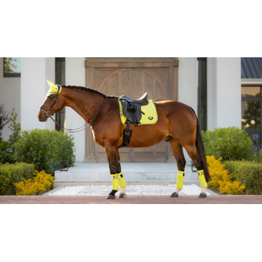 Tapete LeMieux Loire Classic Dressage Square Kiwi Kaki