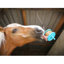 Pierre à lécher Likit Pierre à lécher Likit