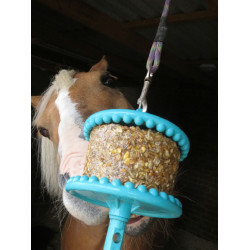 Pierre à lécher Likit Pierre à lécher Likit