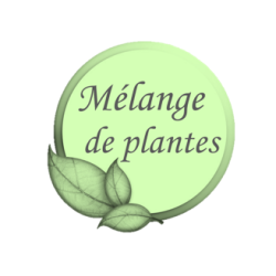Alho Plus ESC Laboratoire Alho Plus ESC Laboratoire