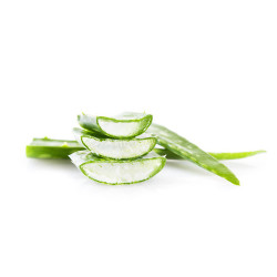 Suco de aloe vera ESC Laboratoire Suco de aloe vera ESC Laboratoire