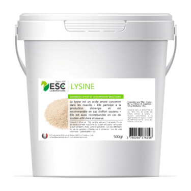 Lysine + ESC Laboratoire
