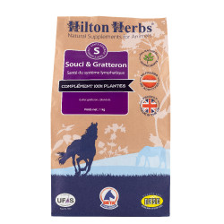 Calêndula e Grude Hilton Herbs Calêndula e Grude Hilton Herbs