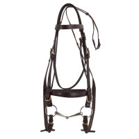 Bridão Excelsior Cavalo de Tração Preto