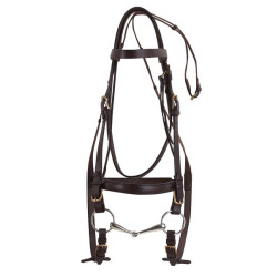 Bridão Excelsior Cavalo de Tração Havana Castanho Bridão Excelsior Cavalo de Tração Havana Castanho