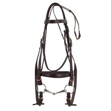 Bridão Excelsior Cavalo de Tração Havana Castanho Bridão Excelsior Cavalo de Tração Havana Castanho