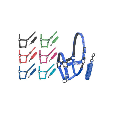 Licol Pool's nylon boucles noires avec longe Vert citron
