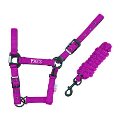 Licol Pool de nylon com fivelas pretas e corda Fúcsia Rosa