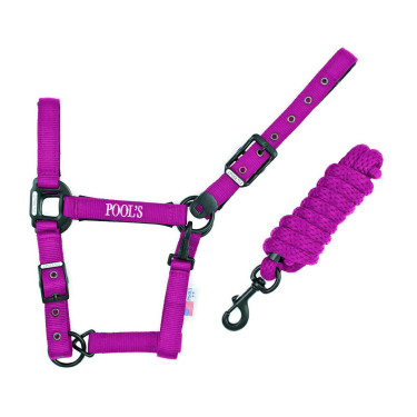 Licol Pool de nylon com fivelas pretas e corda Fúcsia Rosa