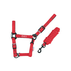 Licol Pool de nylon com fivelas pretas e corda Licol Pool de nylon com fivelas pretas e corda