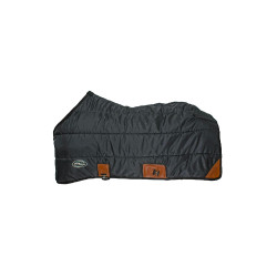 Cobertura de cocheira Austin Pro-Tech 350 g
