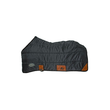 Cobertura de cocheira Austin Pro-Tech 350 g