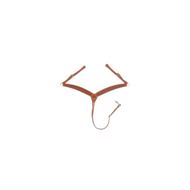 Peitoral western Pool's Border stamp