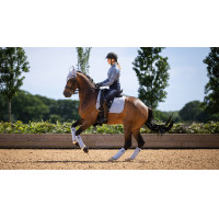 Bandagens de polo para cavalo LeMieux equitação