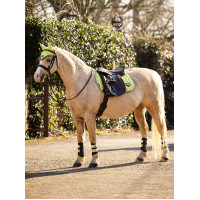 Boné anti-moscas LeMieux Junior Loire Azul-marinho