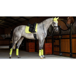 Tapete LeMieux Suede Dressage Square Kiwi Kaki Tapete LeMieux Suede Dressage Square Kiwi Kaki