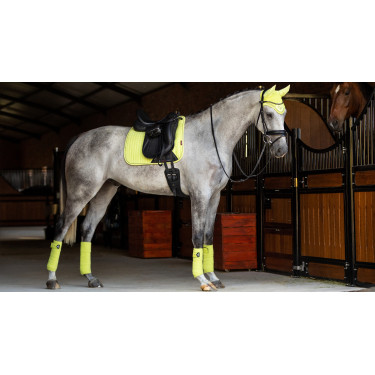 Tapete LeMieux Suede Dressage Square Kiwi Kaki Tapete LeMieux Suede Dressage Square Kiwi Kaki
