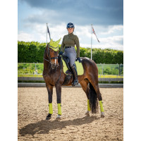 Tapete LeMieux Suede Dressage Square Azul Benetton
