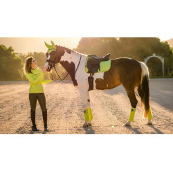 Tapete LeMieux Suede Dressage Square Kiwi Kaki Tapete LeMieux Suede Dressage Square Kiwi Kaki