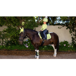 Tapis Mini LeMieux Suede Jump Square Kiwi Kaki Tapis Mini LeMieux Suede Jump Square Kiwi Kaki