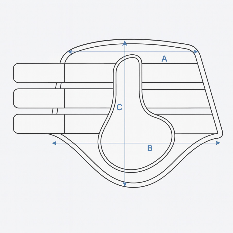 Ilustração do guia de tamanhos para Polaina para cavalo Kingsland
