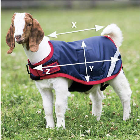 Ilustração do guia de tamanhos para Animais de estimação Horseware