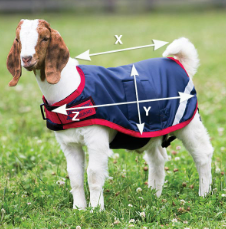 Ilustração do guia de tamanhos para Animais de estimação Horseware