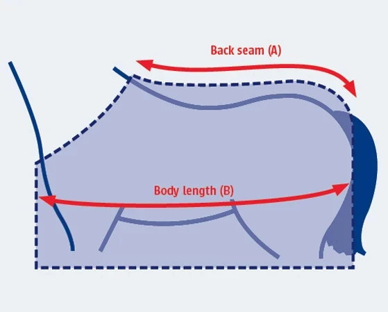 Ilustração do guia de tamanhos para Capa para cavalo Weatherbeeta