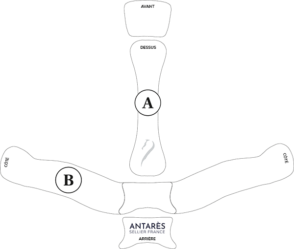Ilustração do guia de tamanhos para Acessórios de proteção para cavaleiro Antares