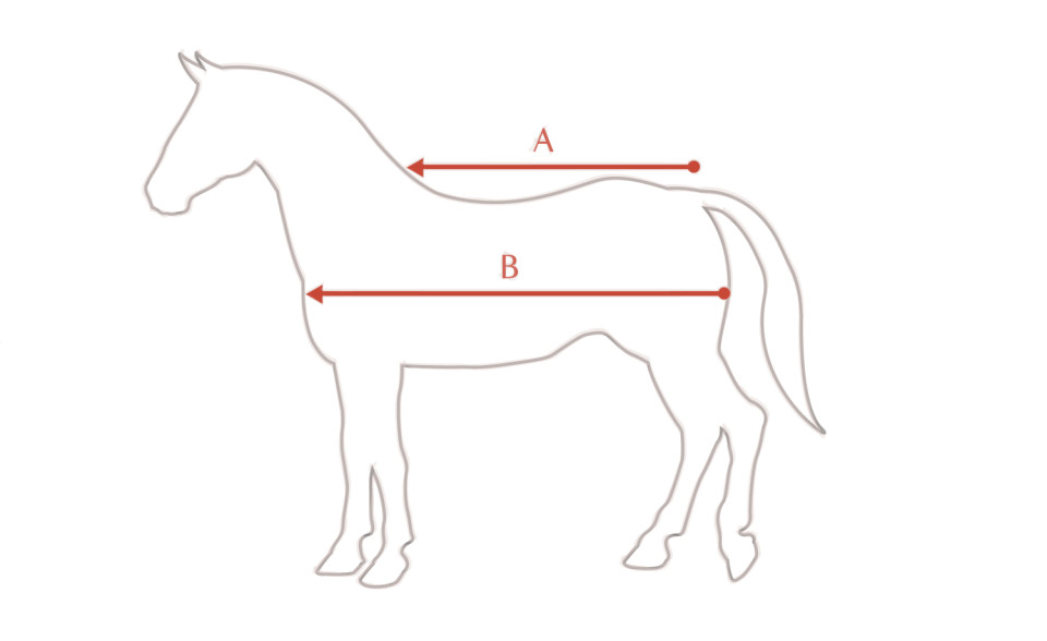 Ilustração do guia de tamanhos para Cobertura LeMieux LeMieux