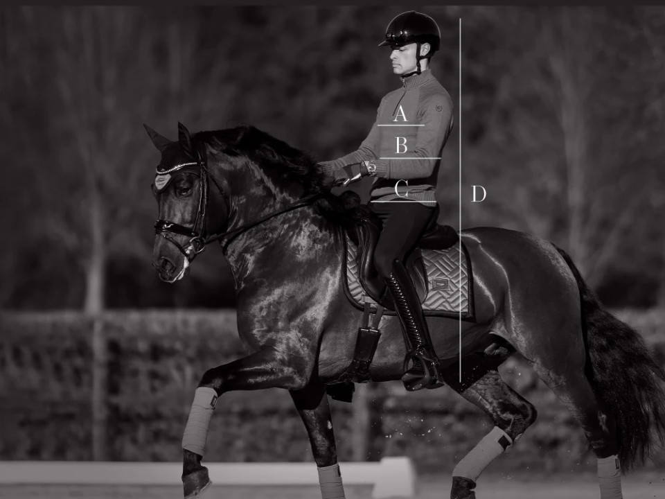 Ilustração do guia de tamanhos para Polos, camisetas e camisas Equestrian Stockholm